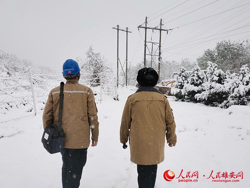 11月7日,國網(wǎng)雄安新區(qū)供電公司同口供電所員工冒雪清理同口512線路旁樹上的積雪。李亞琨攝