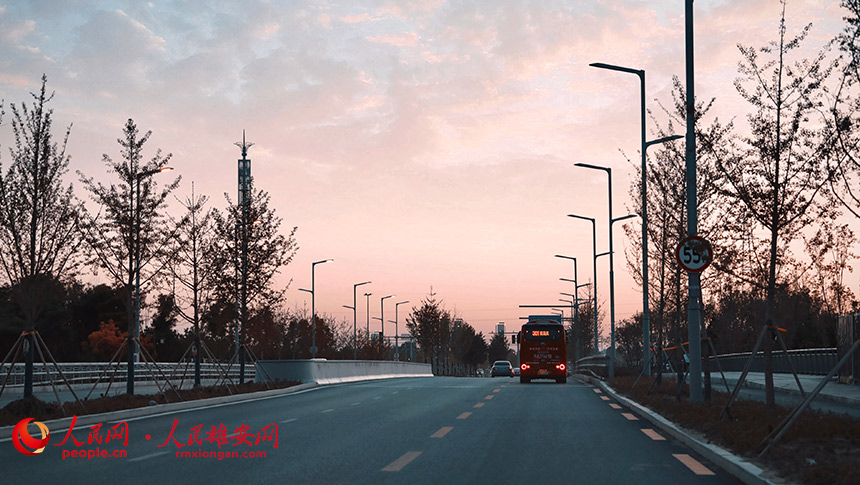 ۰^(q)箋z
