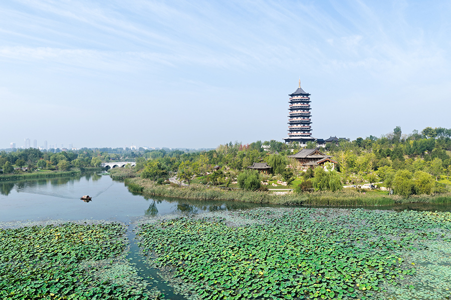 雄安悅容公園。胡忠攝